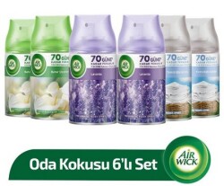 AiR Wich Oda Kokusu Freshmatik Yedek Sprey Avantaj Paketi 250 ml x 6 Ad - AIR WICH