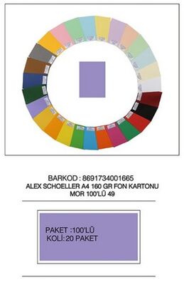 Alex Schoeller A4 Fon Kartonu 160 gr /m² No:49 Mor - 1