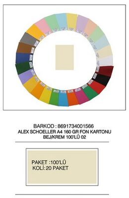 Alex Schoeller A4 Fon Kartonu 160 gr /m² No:82 Bej - 1