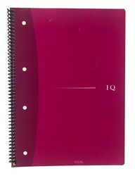 Atlas IQ A4 PP Kapak Spiralli Defter Kareli 100 yp - ATLAS DEFTER
